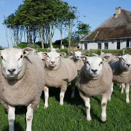 Thatched Wellness Near Texel Sea Вилла *