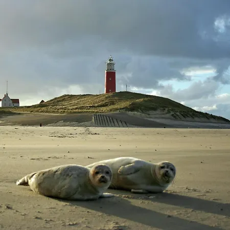 Вилла Thatched Wellness Near Texel Sea Де-Коог