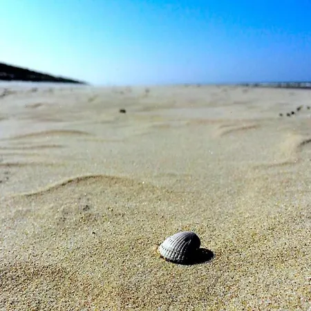 Thatched Wellness Near Texel Sea
