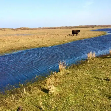 Thatched Wellness Near Texel Sea *